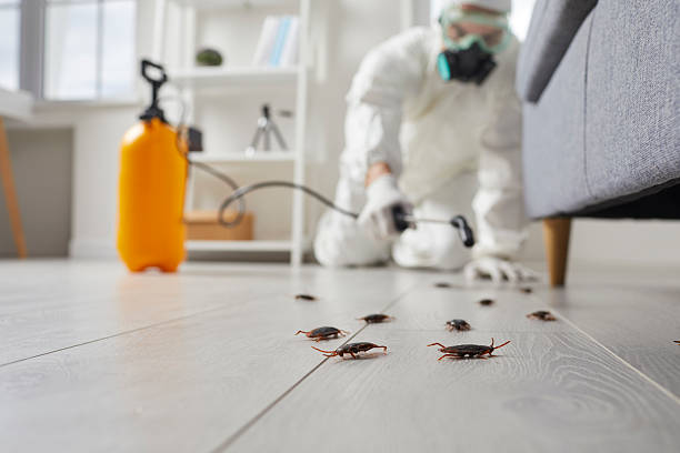 Trusted Fumigation Services service in Clarkdale, AZ - Nex Pest Control