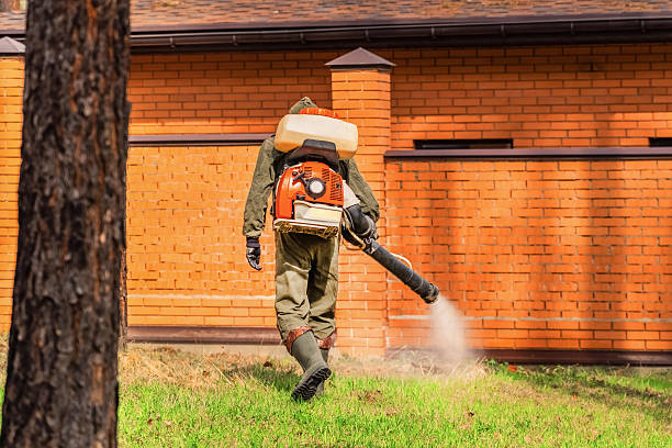 Trusted Rodent Control service in Clarkdale, AZ - Nex Pest Control